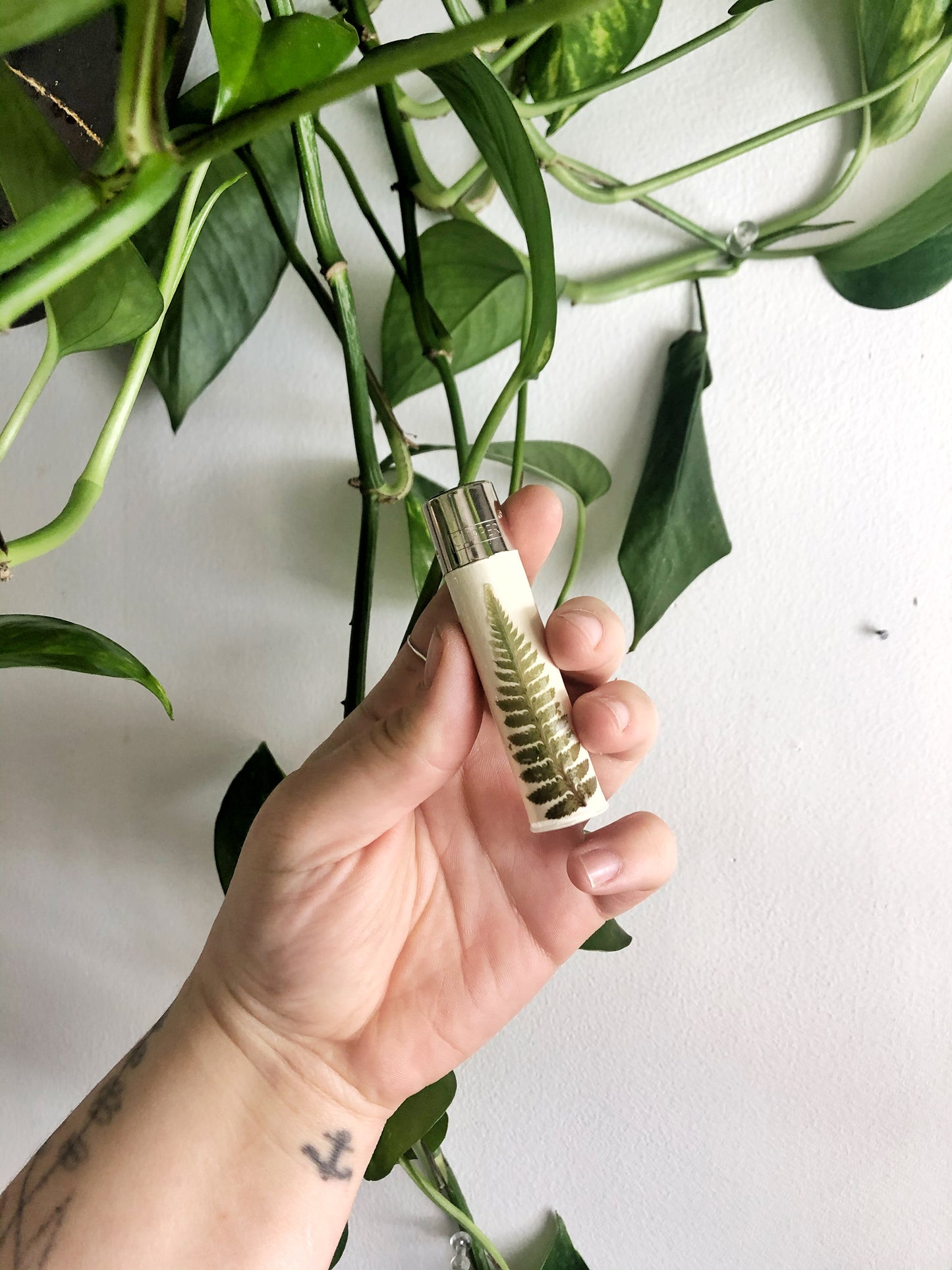 Fern Lighter