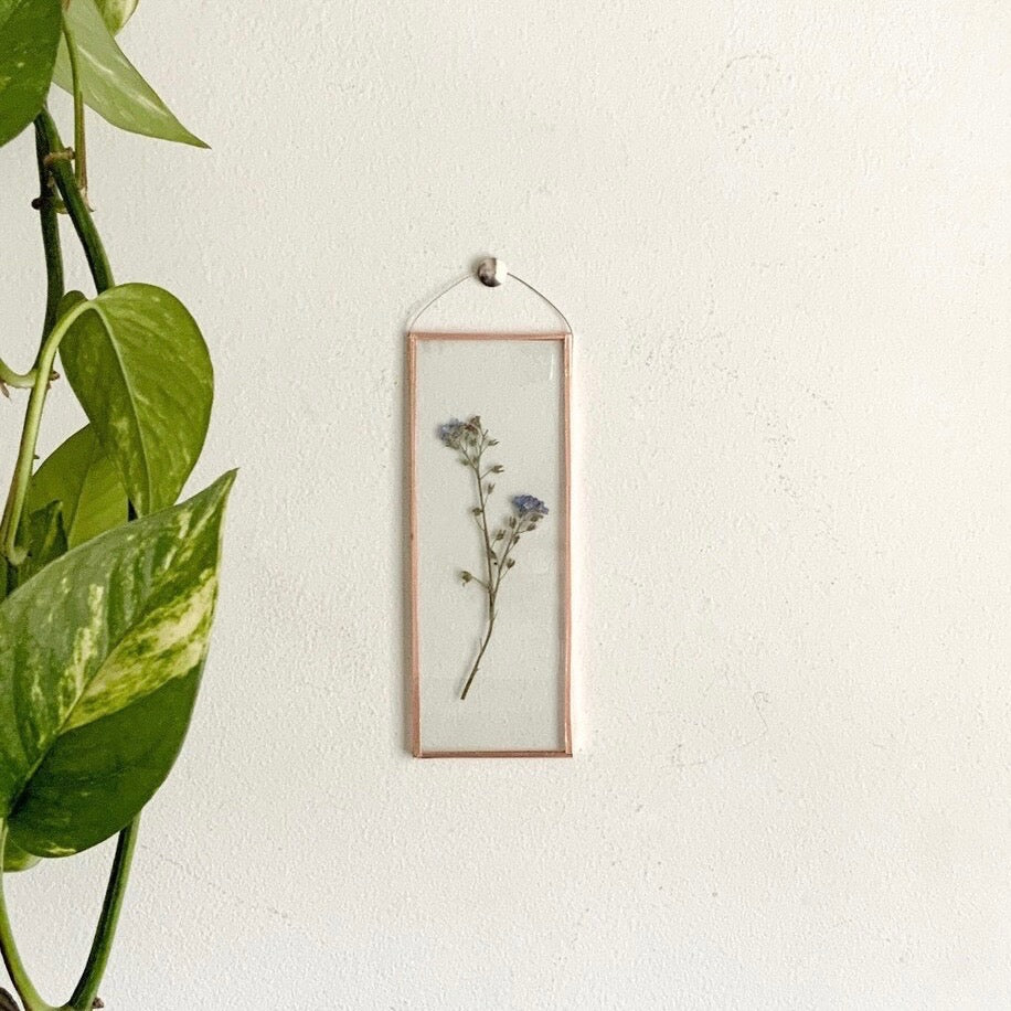 Forget Me Not Frame