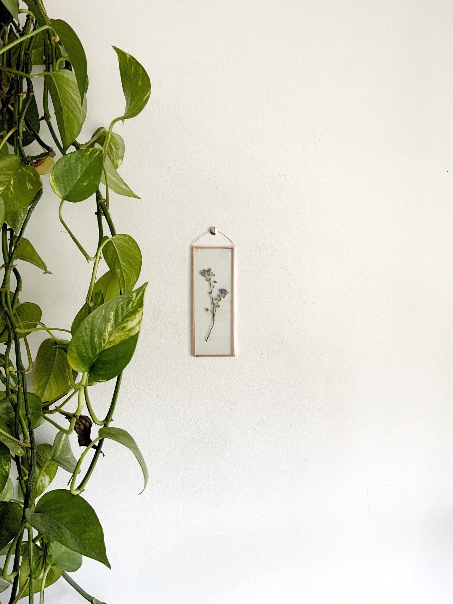 Forget Me Not Frame