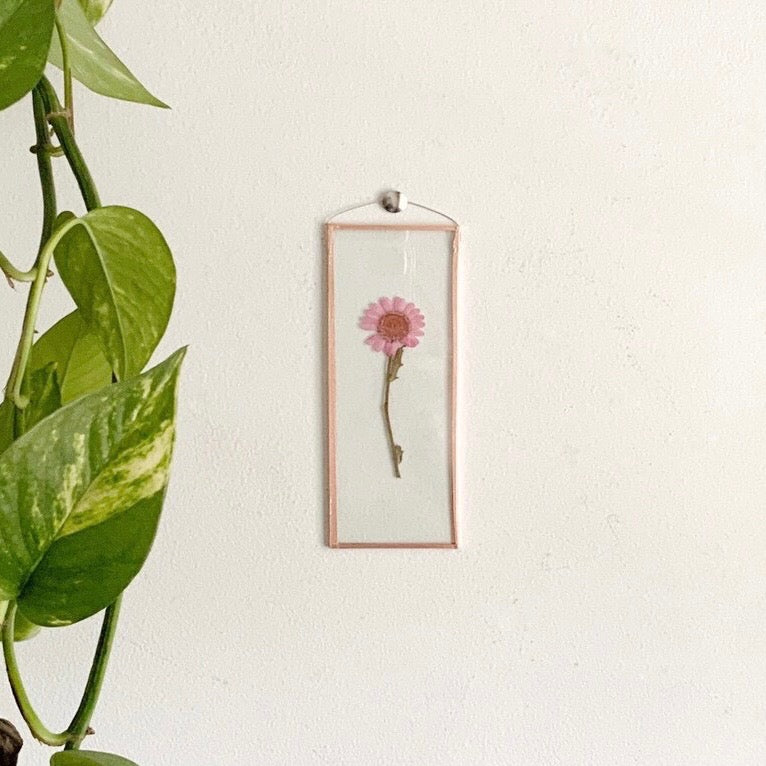 Pink Daisy Frame