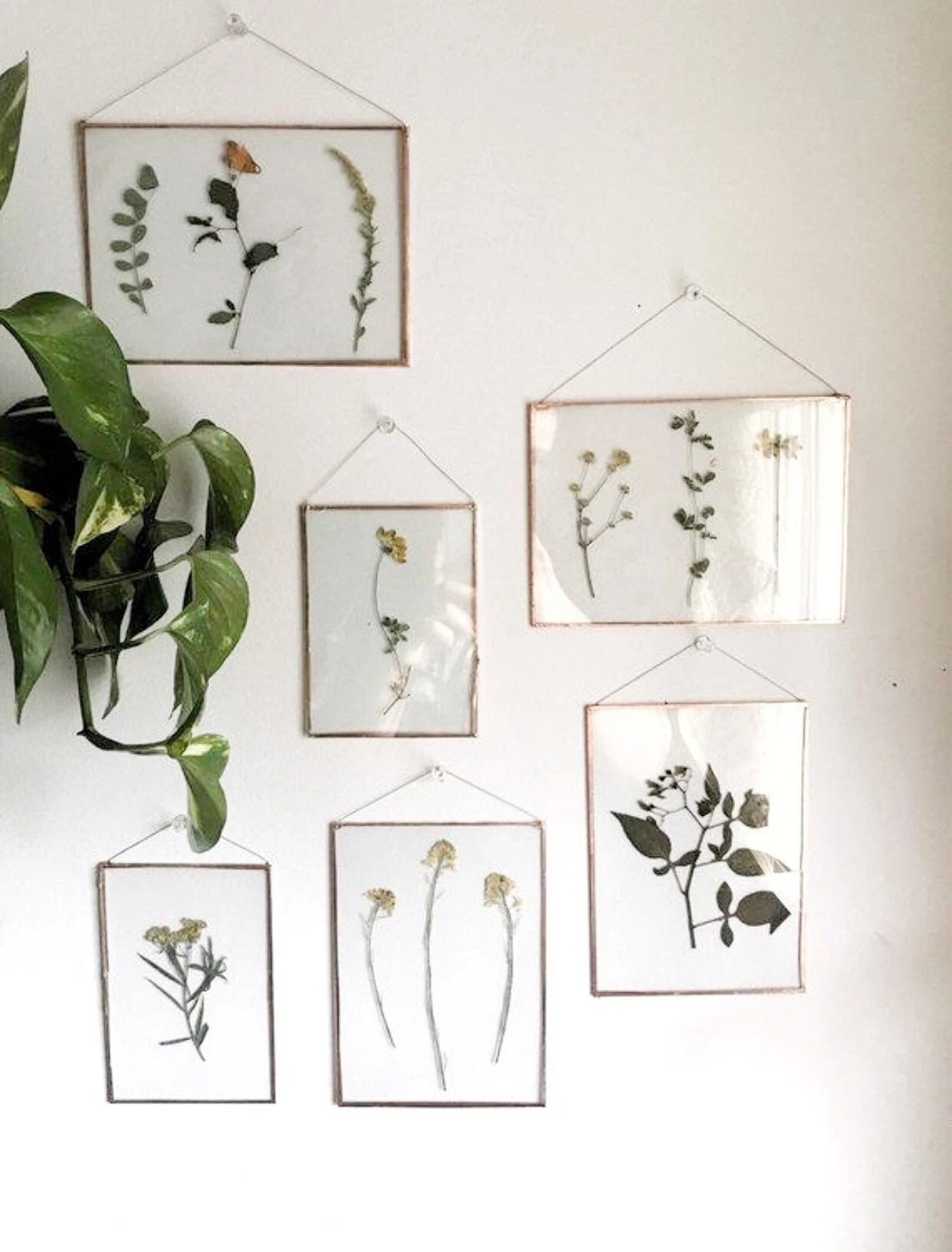 Large Mystery Frame