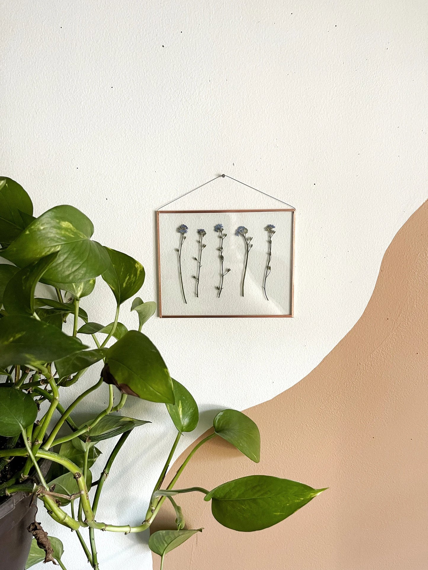 Multi Forget Me Not Frame