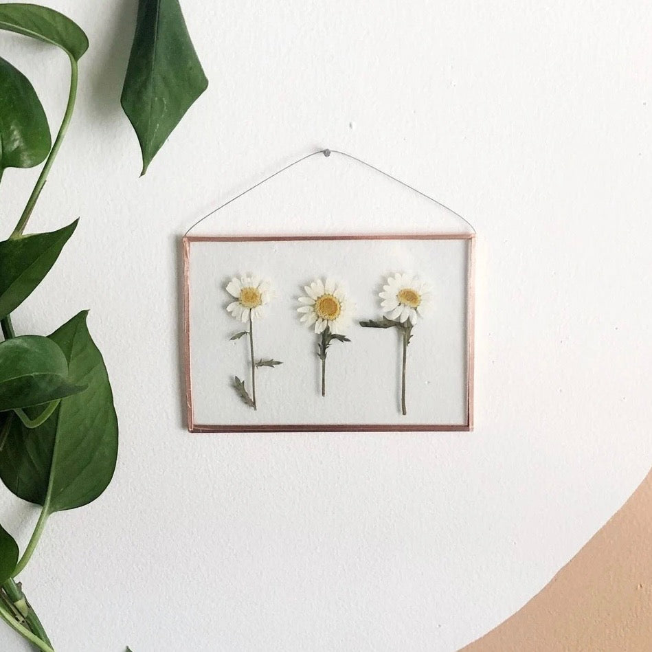 Triple White Daisy Frame