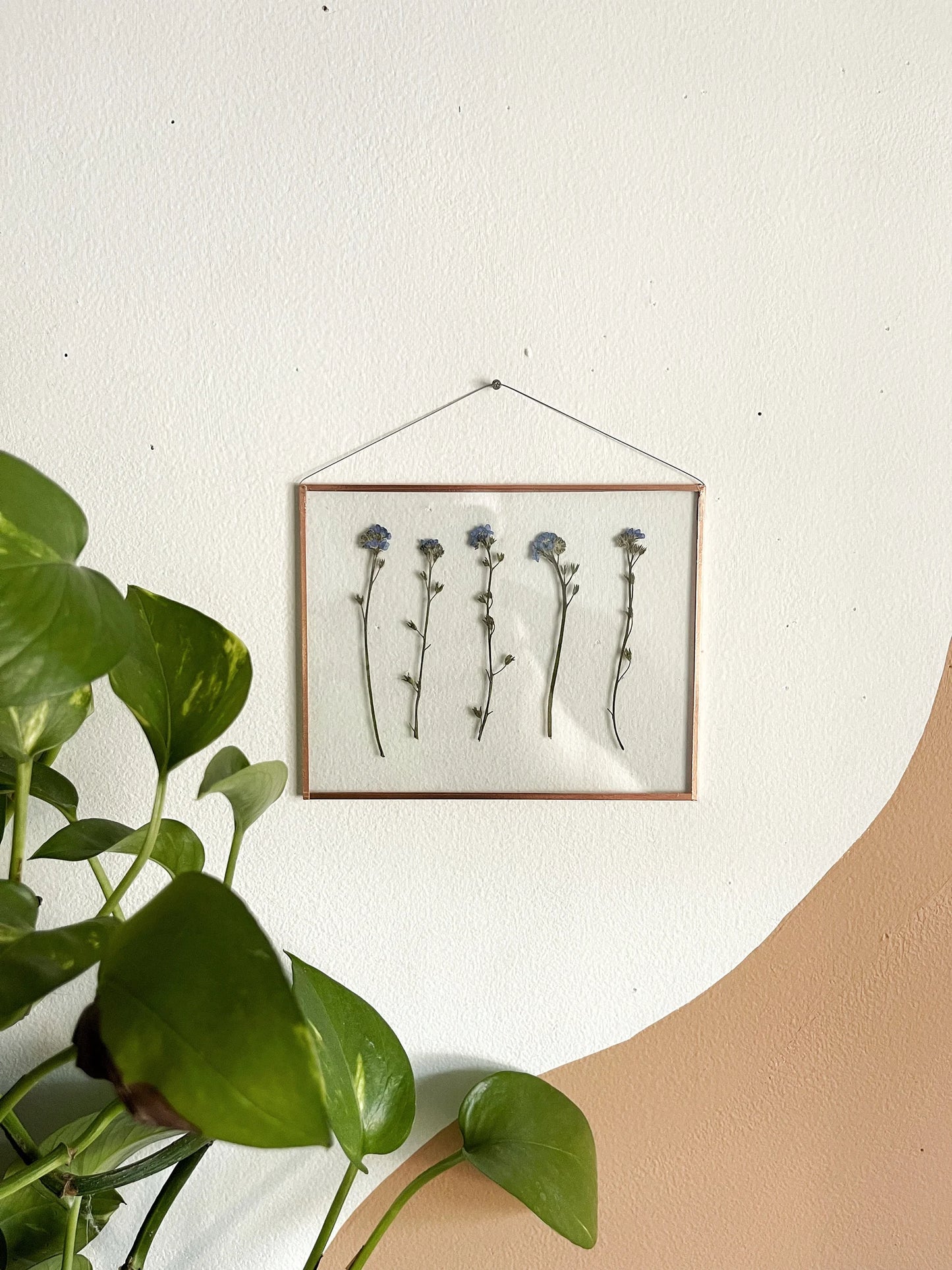 Multi Forget Me Not Frame