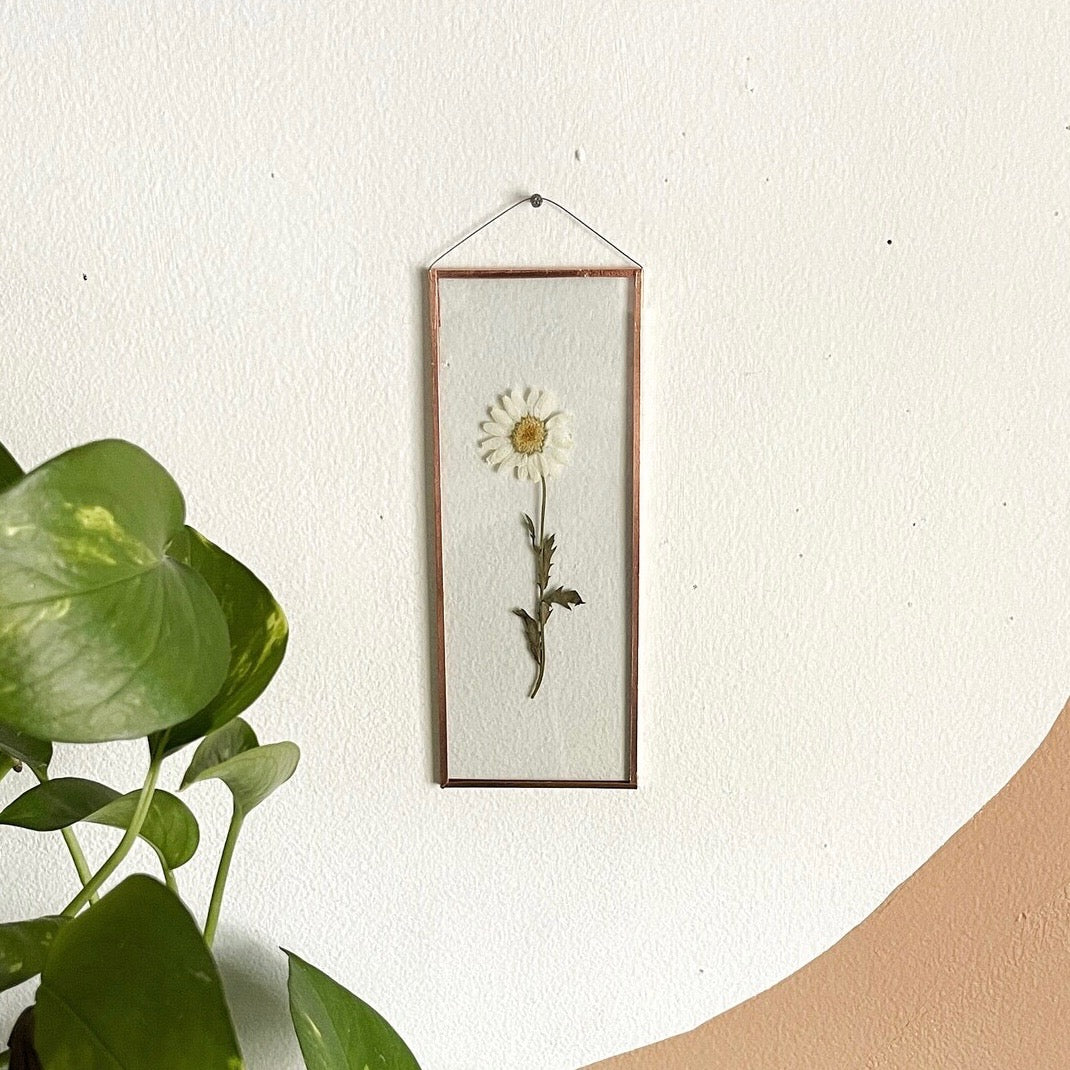 White Daisy Frame