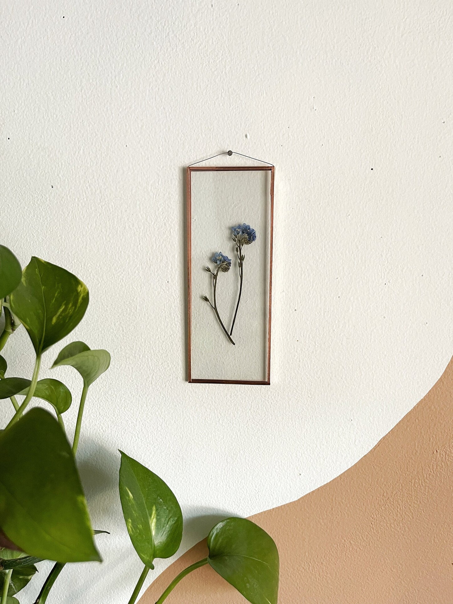 Forget Me Not Frame