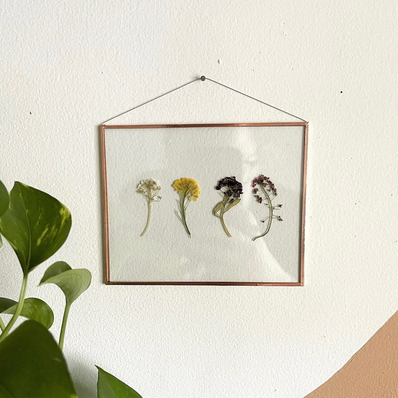 Wildflower Frame