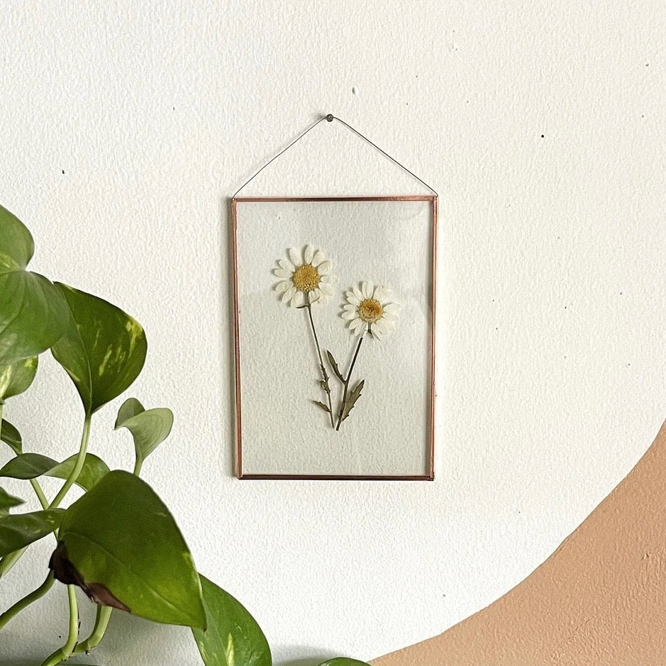 Double White Daisy Frame